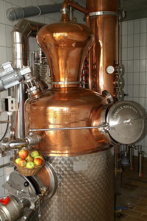 Weingut-Brennerei-Gaestehaus Emil Dauns Reil Extérieur photo