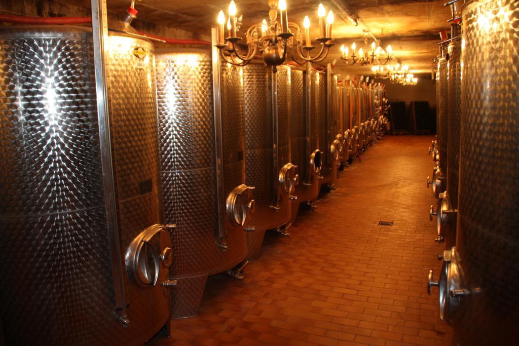 Weingut-Brennerei-Gaestehaus Emil Dauns Reil Extérieur photo