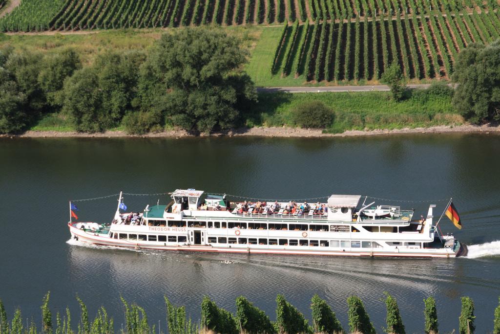 Weingut-Brennerei-Gaestehaus Emil Dauns Reil Extérieur photo