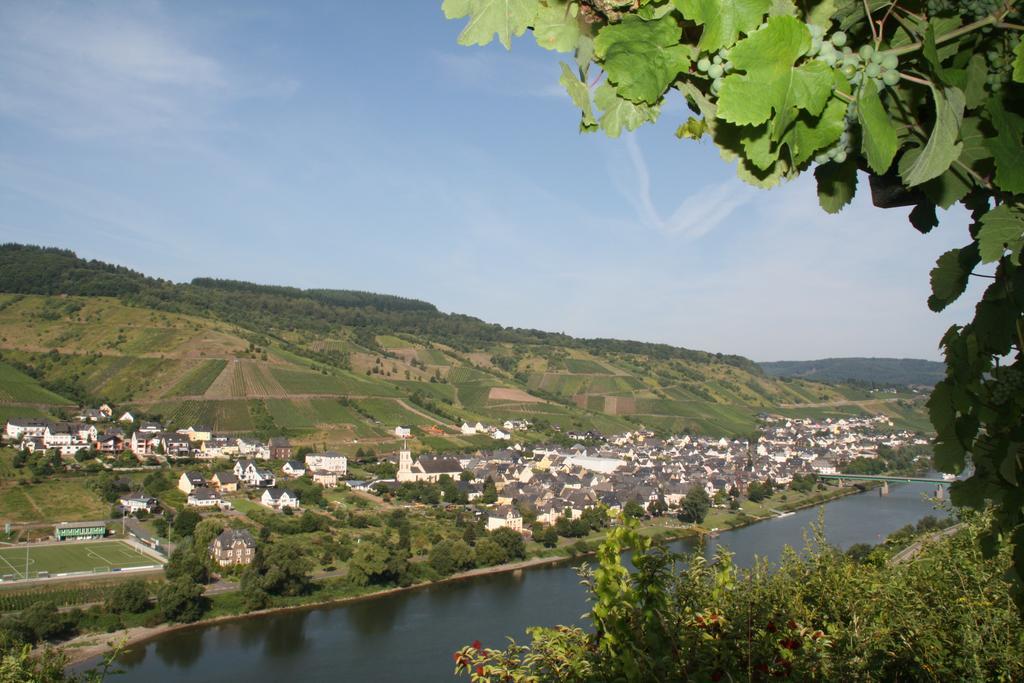 Weingut-Brennerei-Gaestehaus Emil Dauns Reil Extérieur photo