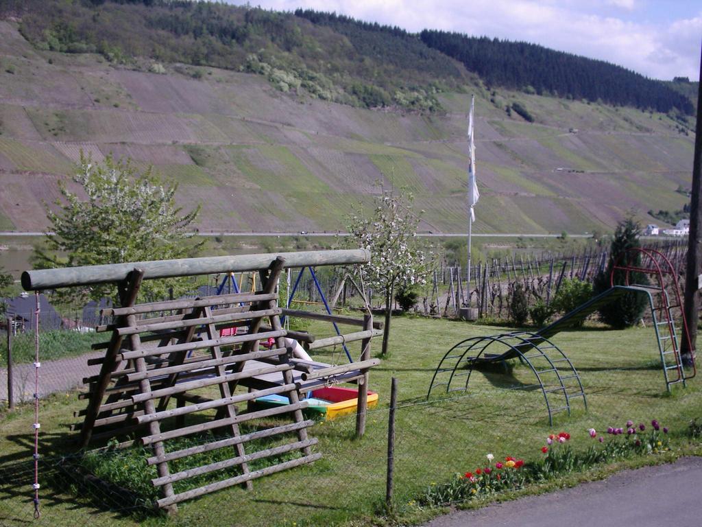 Weingut-Brennerei-Gaestehaus Emil Dauns Reil Extérieur photo