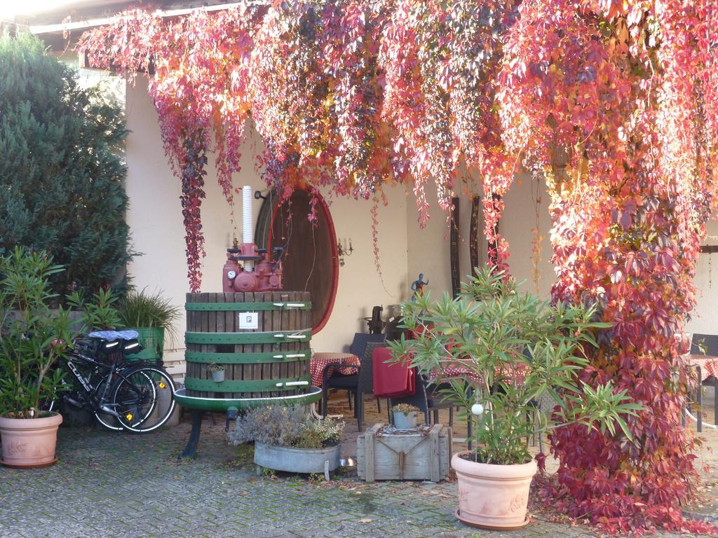 Weingut-Brennerei-Gaestehaus Emil Dauns Reil Extérieur photo