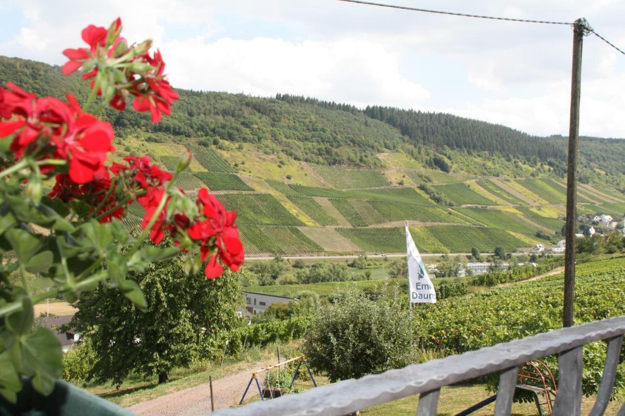 Weingut-Brennerei-Gaestehaus Emil Dauns Reil Extérieur photo
